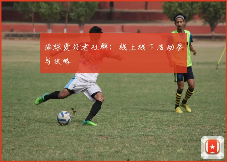 排球爱好者社群：线上线下活动参与攻略